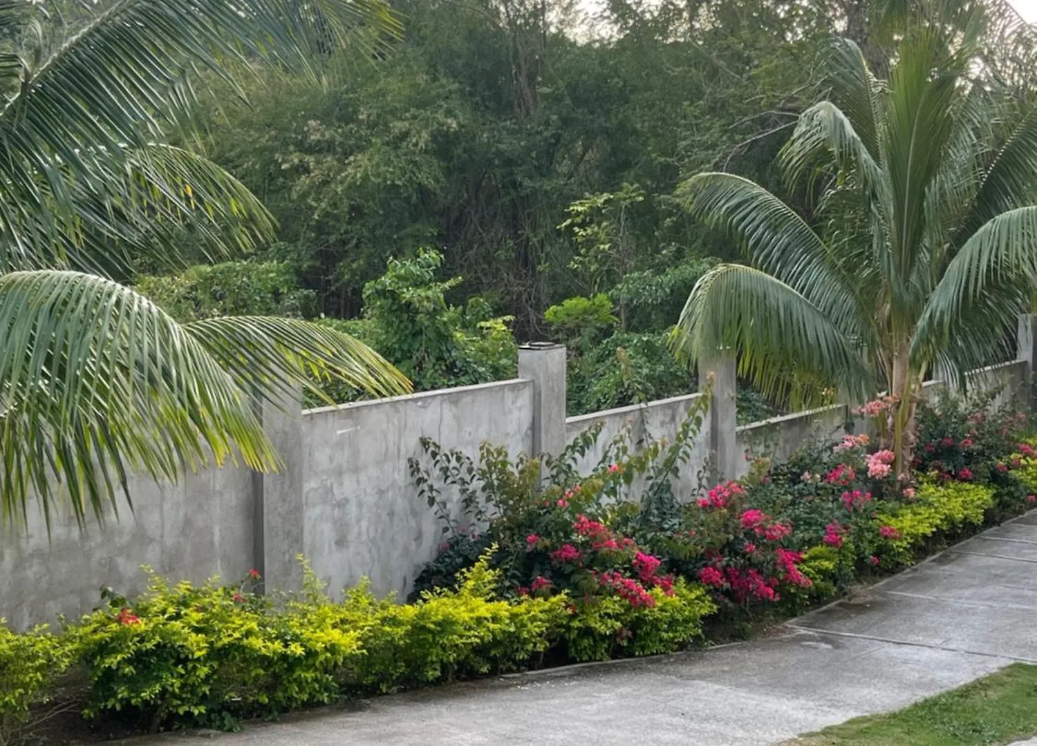 Villa Serenity, Negril Jamaica 0*,  ジャマイカ
